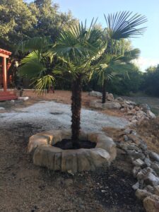 Landscaping 14